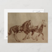 諸州の自由の郵便はがき ポストカード (正面/裏面)