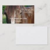 諸州 名刺 (正面/裏面)