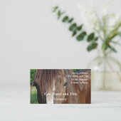 諸州 名刺 (スタンド正面)