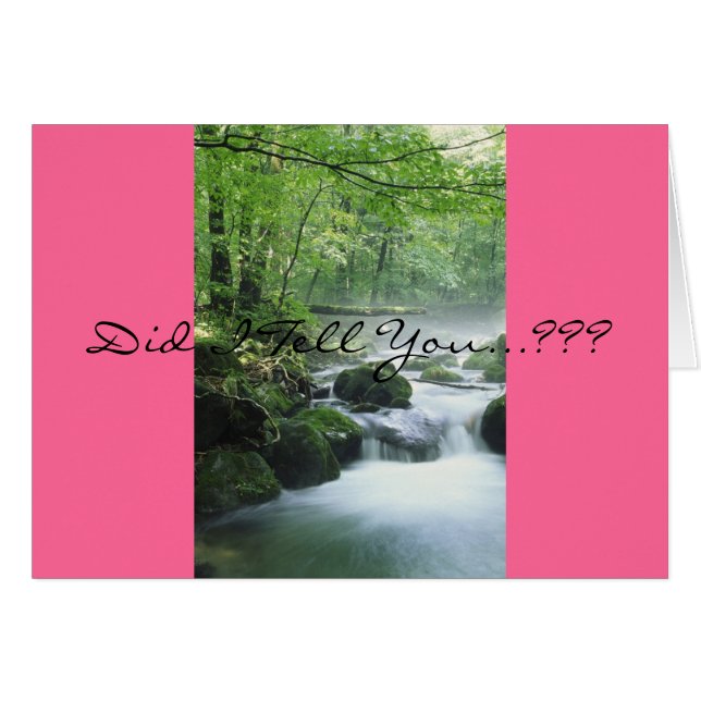 諺の18:22 (正面横)