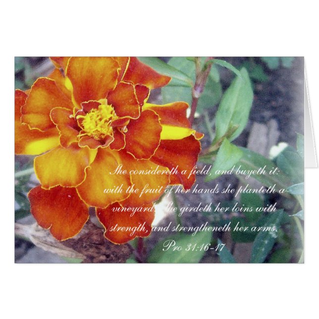 諺31のコレクションの~のプロ31:16 - 17 (正面横)