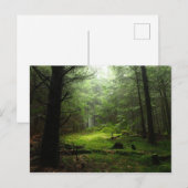 謎の森 ポストカード (正面/裏面)