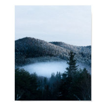 謎の霧に閉ざされた冬のスプリuceの森