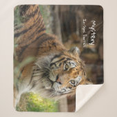 謎 –  シェルパブランケット (正面)