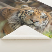 謎 –  シェルパブランケット (3/4)