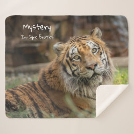 謎 –  シェルパブランケット