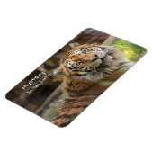 謎 – マグネット (左側)