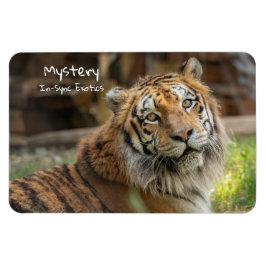 謎 –   マグネット