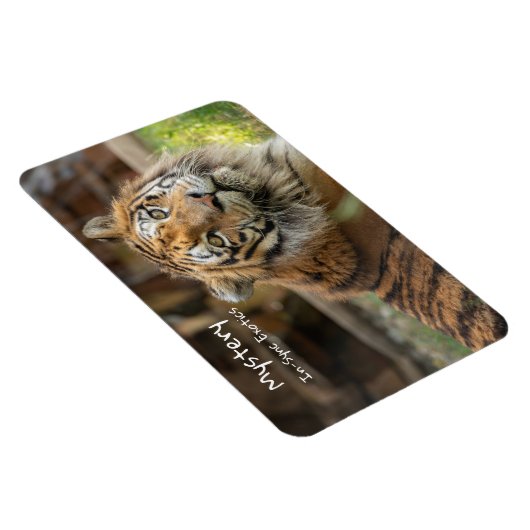 謎 –   マグネット (右側)