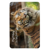 謎 – マグネット (縦)