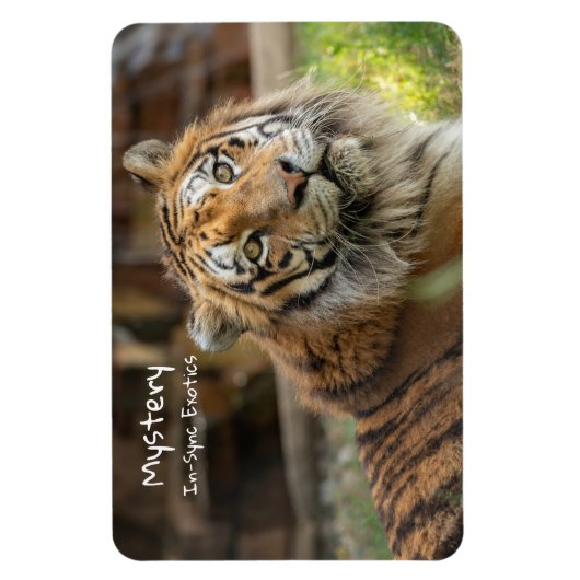 謎 – マグネット (縦)