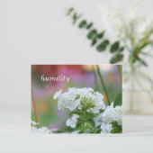 謙虚さ ポストカード (スタンド正面)