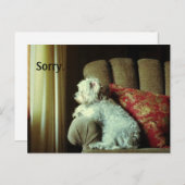 謝りカード~ごめんって言うだけで。 ポストカード (正面/裏面)