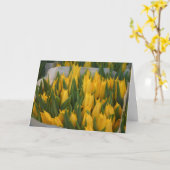 謝罪カード カード (黄色い花)