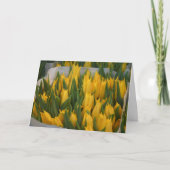 謝罪カード カード (正面)