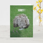 謝罪 カード (黄色い花)