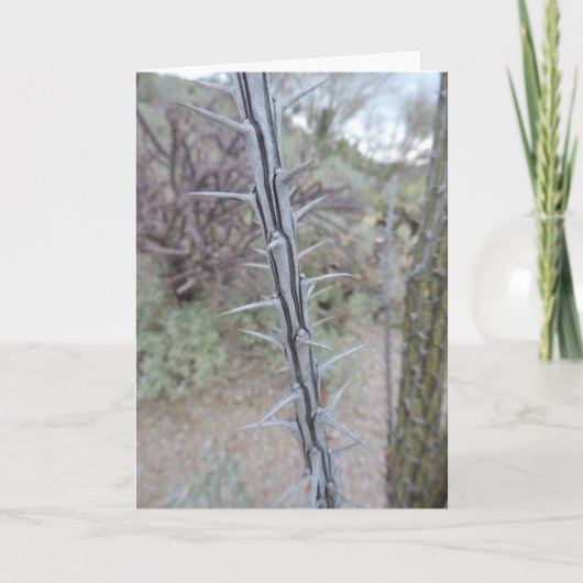 謝罪 カード (正面)