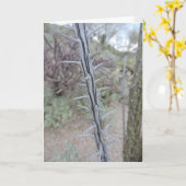 謝罪 カード (黄色い花)