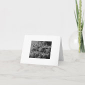 謝肉祭のウェディングシャワー 招待状 (裏面)