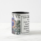 識別付き東部ブルーバードコーヒーマグ マグカップ (中央)