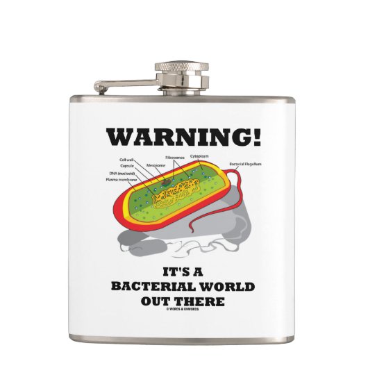 警告だ！そこは細菌世界だ フラスク (正面)