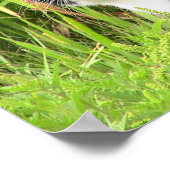 警告のブラックキー ポスター (角)