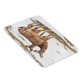 警告を発する白尾の鹿2頭 マグネット (右側)