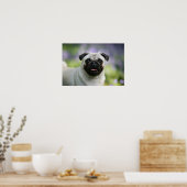 警告を表示するポーグ ポスター (キッチン)