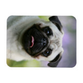 警告を表示するポーグ マグネット (横)