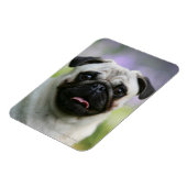 警告を表示するポーグ マグネット (左側)