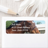 警告アラビア馬の差出人住所メーリングラベル ラベル (インサイチュ)