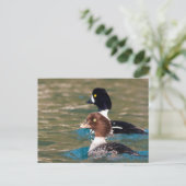 警告ゴールデンアイ ポストカード (スタンド正面)