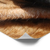 警告ドイツの羊飼い ポスター (角)