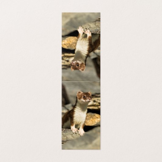 警告ワイゼル (外部フラット)