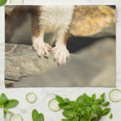 警告ワイゼル キッチンタオル (折り畳み)