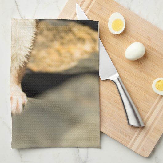 警告ワイゼル キッチンタオル (四つ折り)