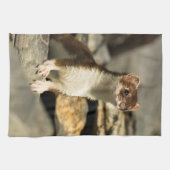 警告ワイゼル キッチンタオル (横)