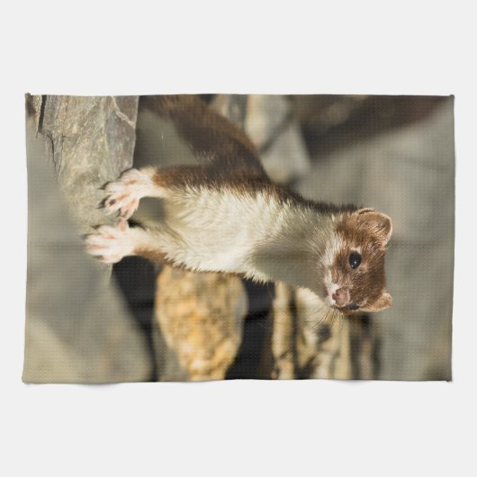 警告ワイゼル キッチンタオル (横)