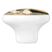 警告ワイゼル セラミックノブ (側面)