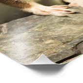 警告ワイゼル フォトプリント            (角)