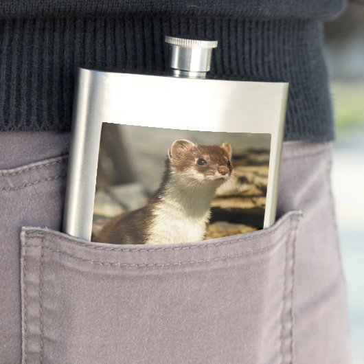 警告ワイゼル フラスク (インサイチュ)