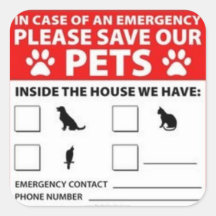 警報の中のペット