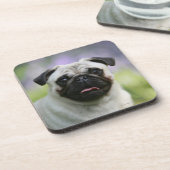警報の子鹿のパグ コースター (左側)