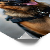 警察犬 ポスター (角)