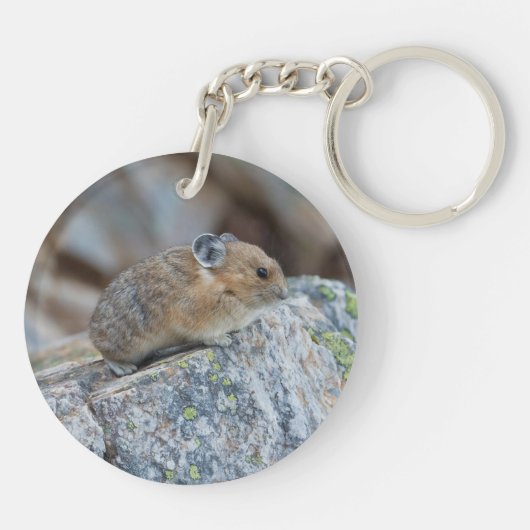 警戒した キーホルダー (裏面)