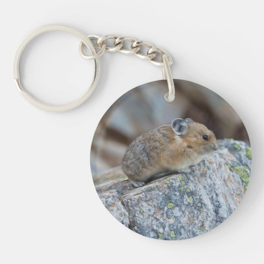 警戒した キーホルダー (正面)