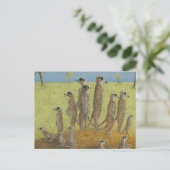 警戒して ポストカード (スタンド正面)