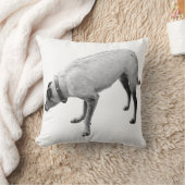 警戒の精神秋 クッション (ブランケット)