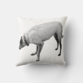 警戒の精神秋 クッション (裏面)