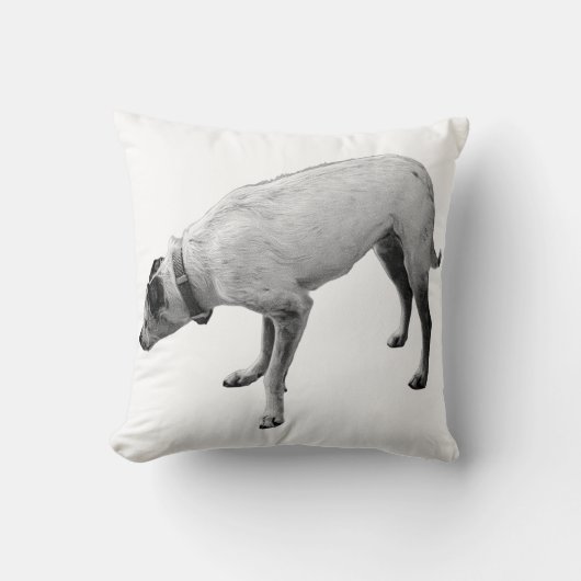 警戒の精神秋 クッション (正面)